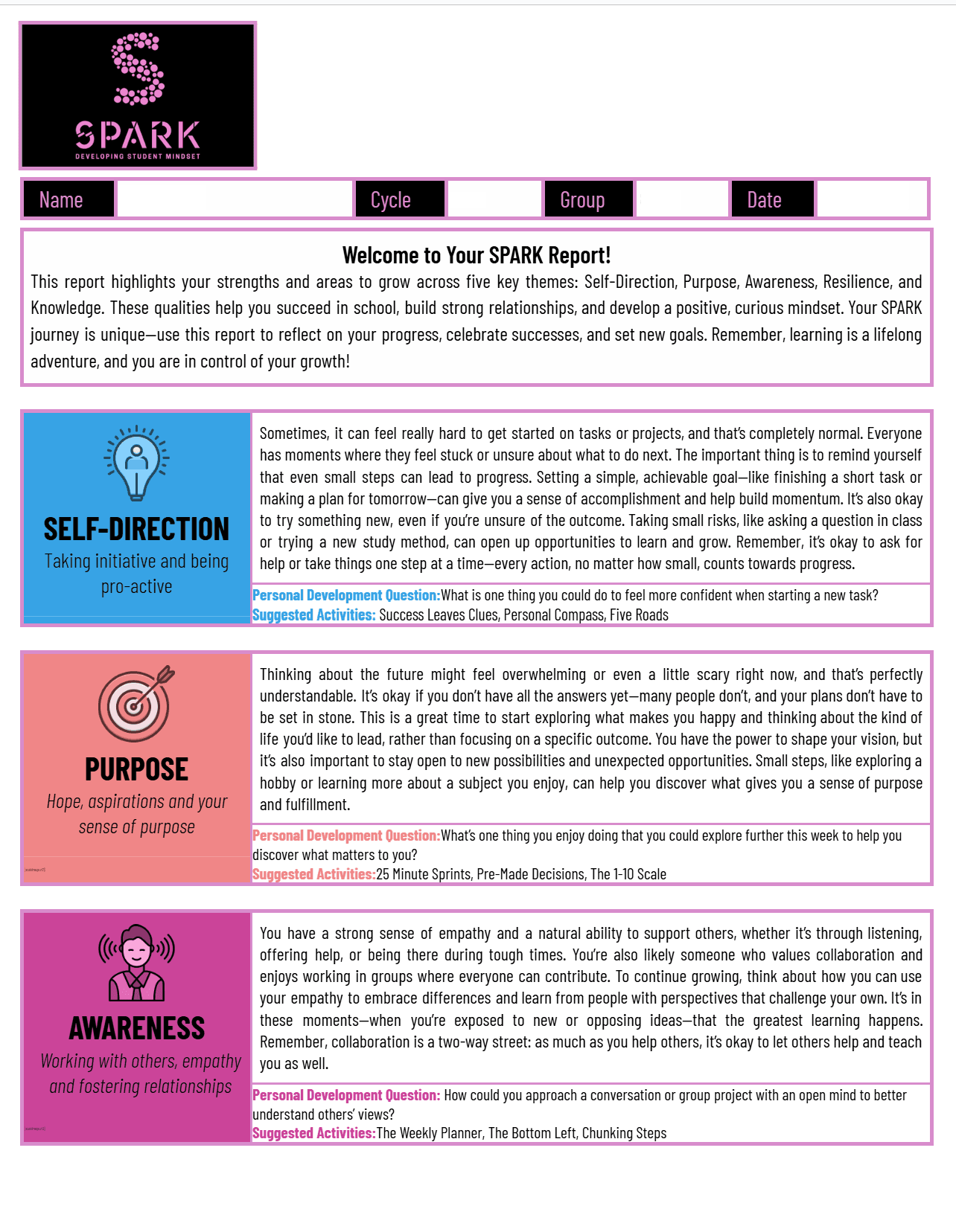 SPARK Report Example